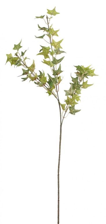 Mini Ivy Spray Green Indoor Plant, 67cm Compact Greenery for Home Decor