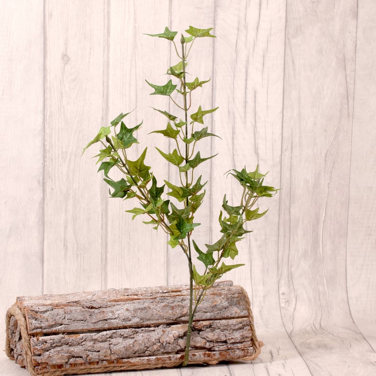 Mini Ivy Spray Green Indoor Plant, 67cm Compact Greenery for Home Decor