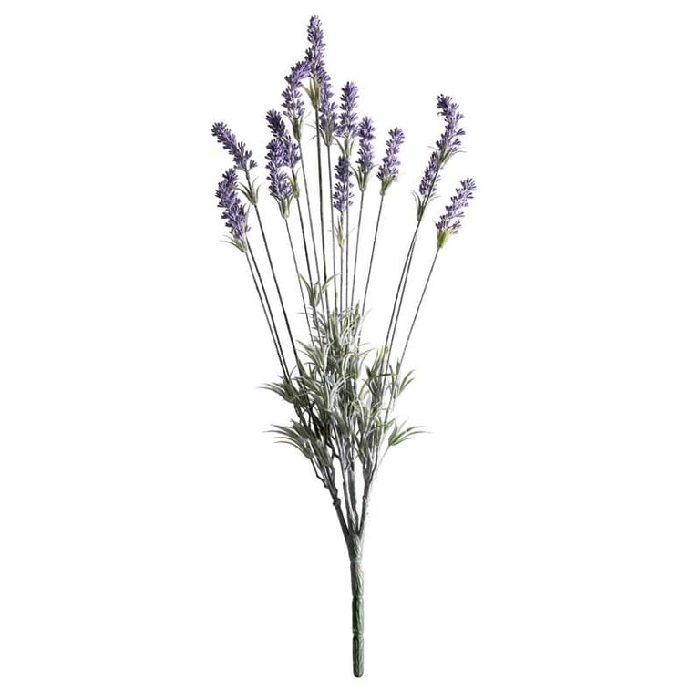 Purple Lavender Plant - Aromatic Home Decor and Garden Accent