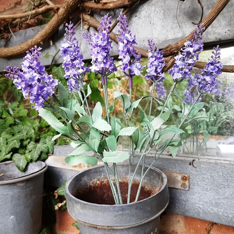 Flowering Lavender Bunch Lilac - Fresh Floral Arrangement for Home Decor and Garden Decoration
