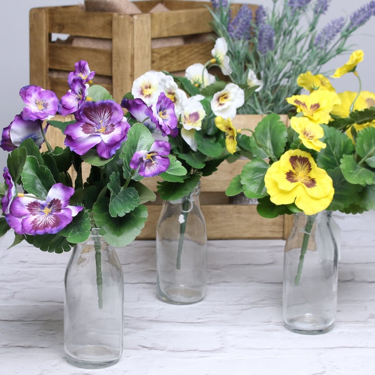 Pansy Bush Assorted Colours - Perennial Flower Garden Plants