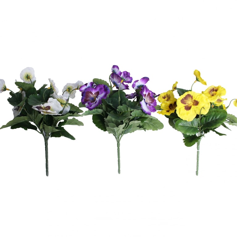 Pansy Bush Assorted Colours - Perennial Flower Garden Plants