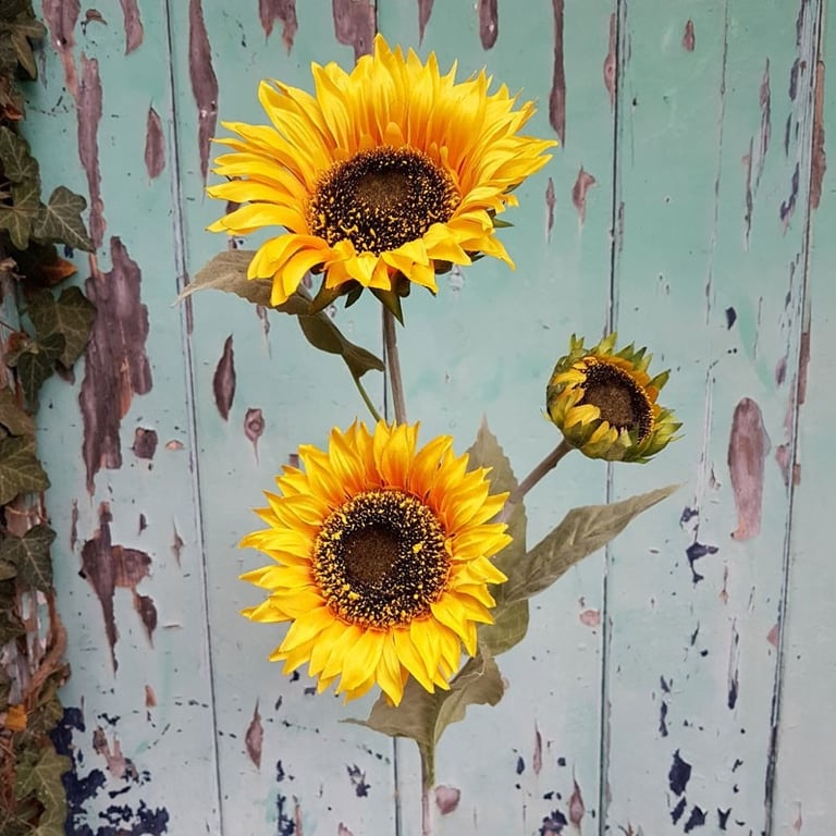 Sunflower 3 Heads - Perfect Home Decor and Gardening Supply