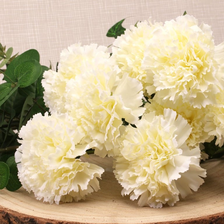 Carnation Bush Cream - Hydrating Anti-Aging Floral Skin Moisturizer with Carnation Scent