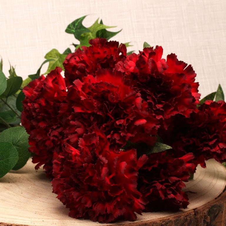 Red Carnation Bush - Vibrant Flowering Shrub for Indoor and Outdoor Decor