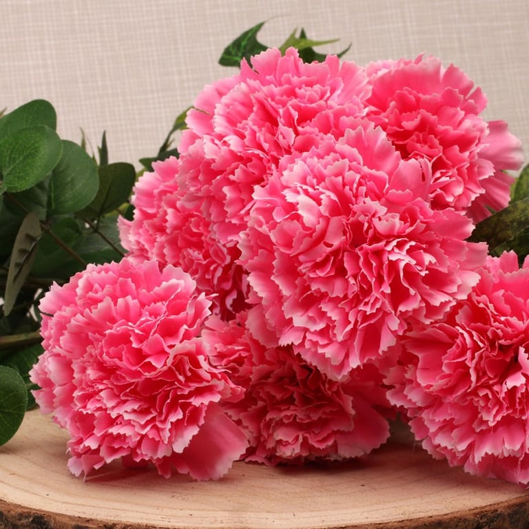 Pink Carnation Bush - Beautiful Indoor Garden Flowers for Home Decor