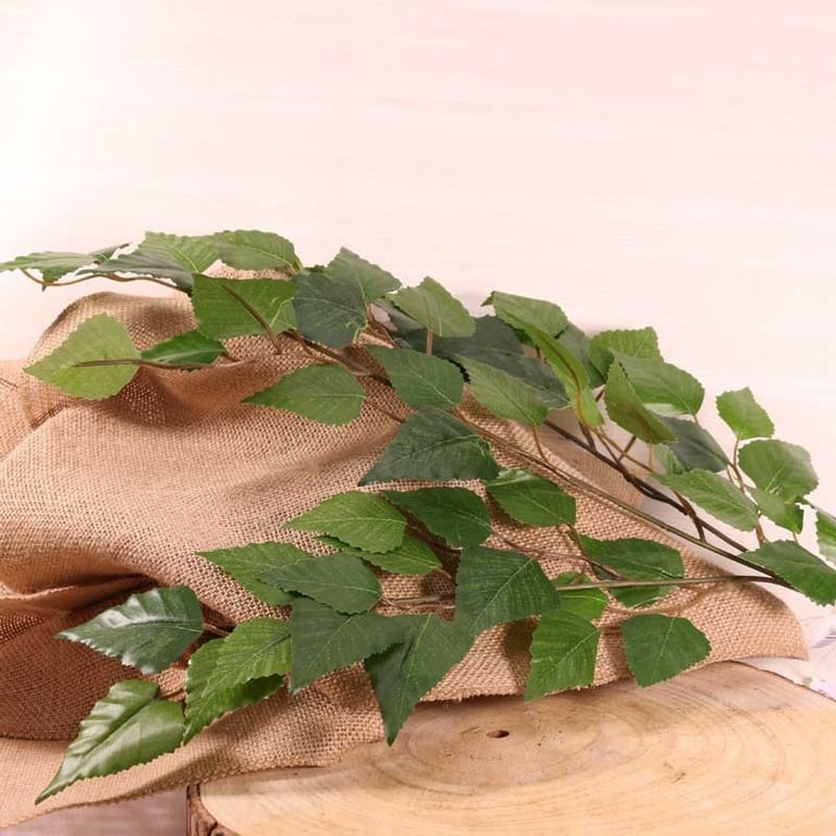 Natural Elm Leaf Wall Hanging - Large Organic Green Decor Art