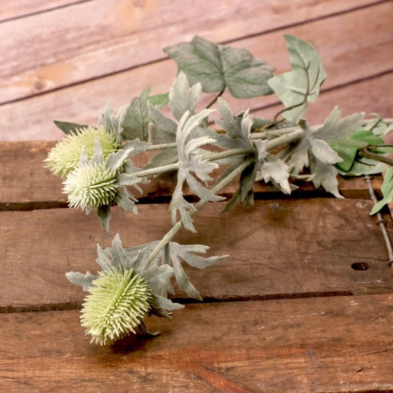 Green Thistle Spray 3 Heads - Effective Outdoor Herbicide Solution for Home Gardens