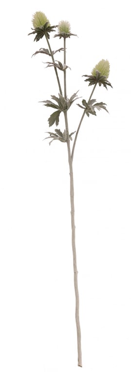 Green Thistle Spray 3 Heads - Effective Outdoor Herbicide Solution for Home Gardens
