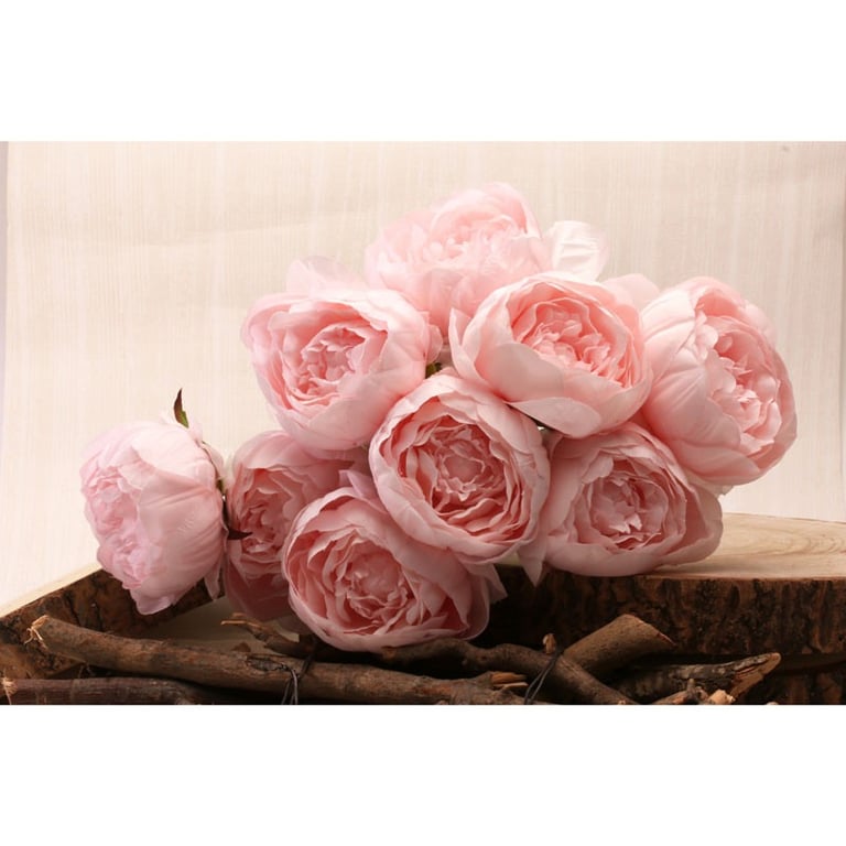 Pink Peony Bunch - Fresh 40cm Long Stemmed Garden Flowers for Home Decor Arrangement
