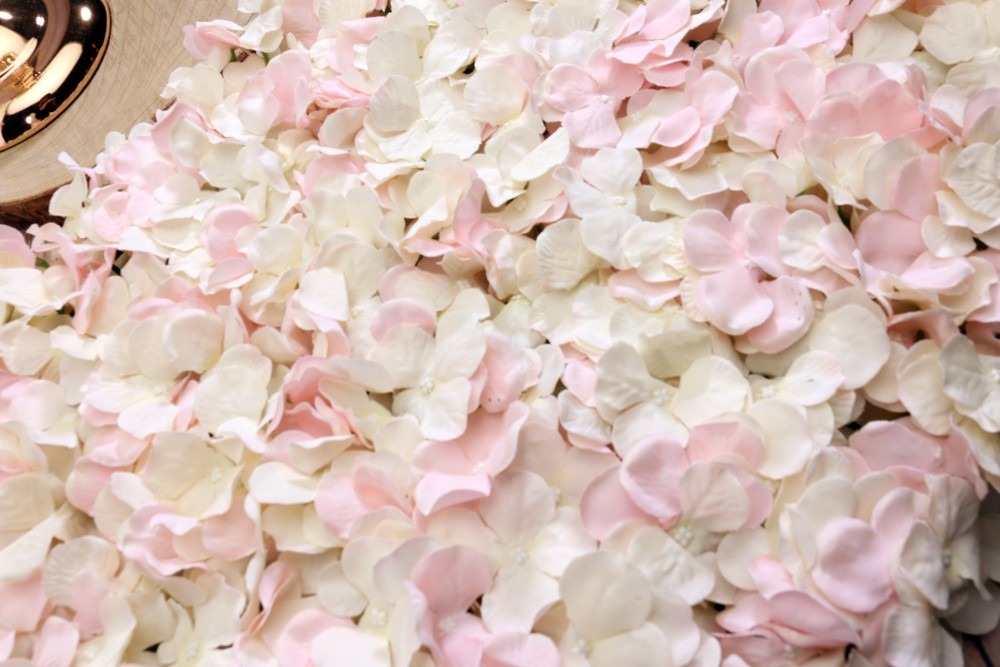 Pink and Cream Hydrangea Floral Wall Art - 40x60cm Home Decor Panel