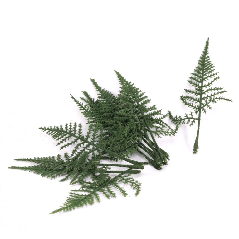 Green Fern Leaves - Natural Home Decor Plant Wall Hanging