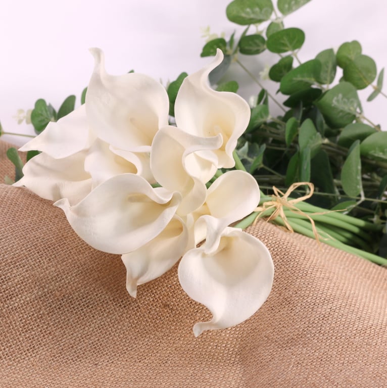 Elegant Ivory Calla Lily - White Wedding Flower for Bridal Bouquets and Arrangements