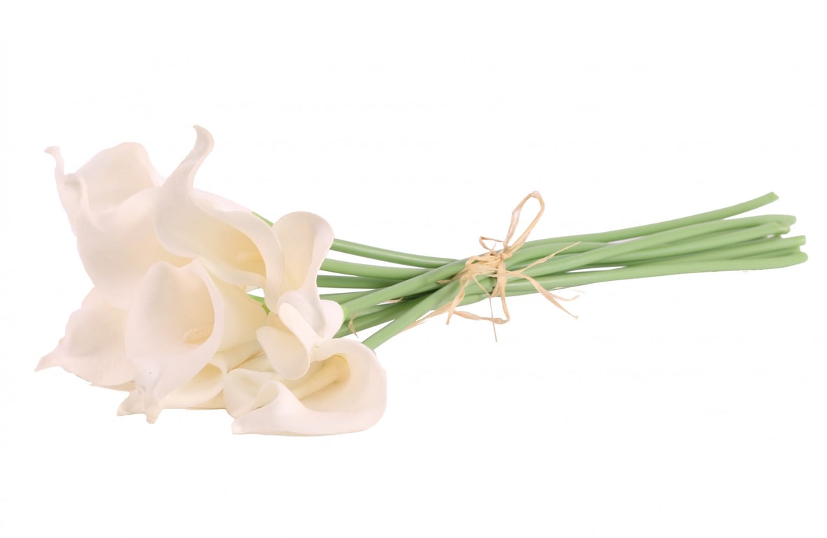 Elegant Ivory Calla Lily - White Wedding Flower for Bridal Bouquets and Arrangements