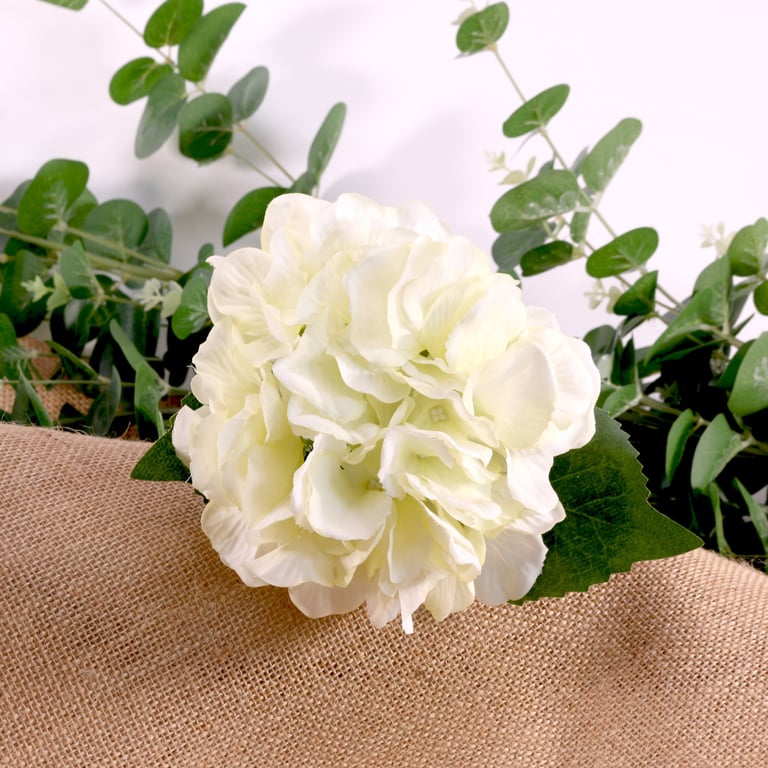 Cream Hydrangea Pick - Natural Hydrating Beauty Tool for Brightening Skin
