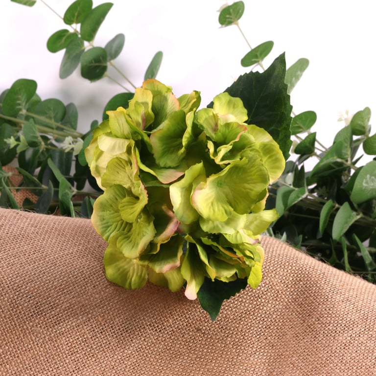 Hydrangea Green Pick - Fresh Indoor/Outdoor Plant Picks for Greenery Decor and Garden Decoration