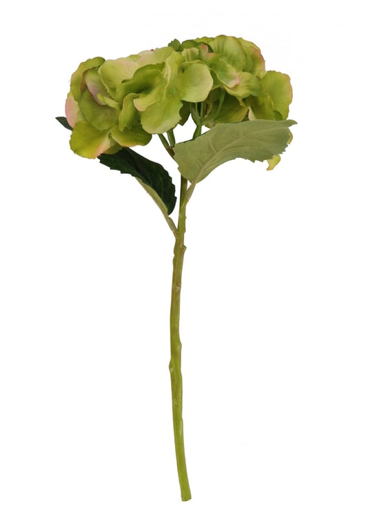 Hydrangea Green Pick - Fresh Indoor/Outdoor Plant Picks for Greenery Decor and Garden Decoration