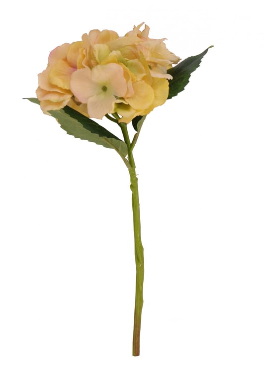Lemon Hydrangea Floral Pick - Fresh Indoor Garden Decoration