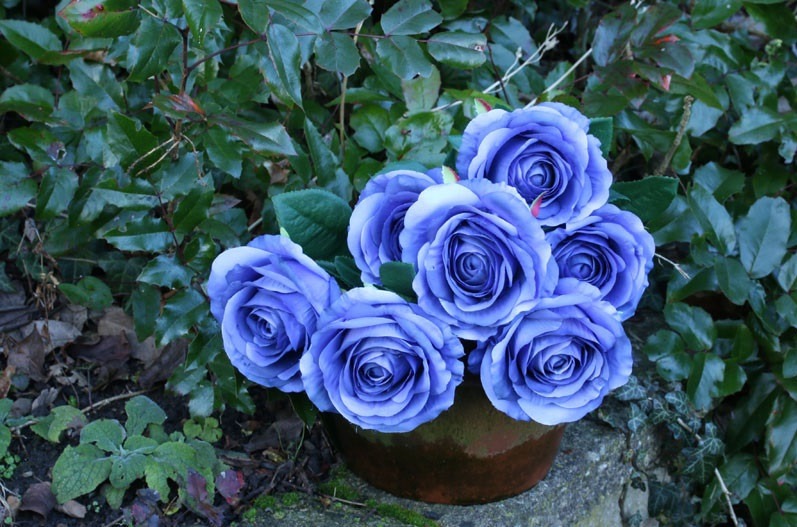 Blue Rose Bunch - Elegant Floral Arrangement for Home Decor and Wedding Bouquet Centerpiece