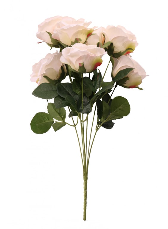 Cream Camelot Rose Bunch - Elegant Floral Arrangement for Home Decor and Garden Beauty