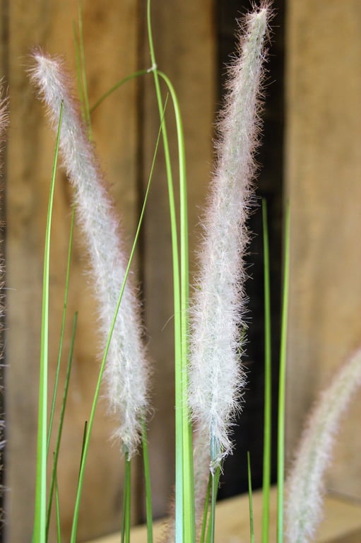 PVC Grass Plant With Cat-Tails - Green Wall Home Decor and Outdoor Decoration
