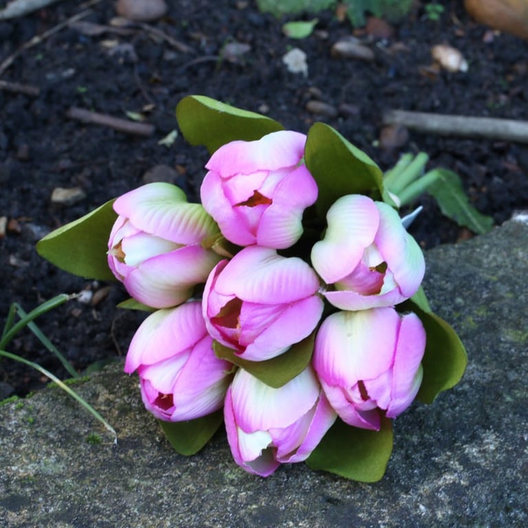 Tulip Bunch Fuschia - Long-Lasting Garden Flowers for Home Decor and Wedding Bouquets