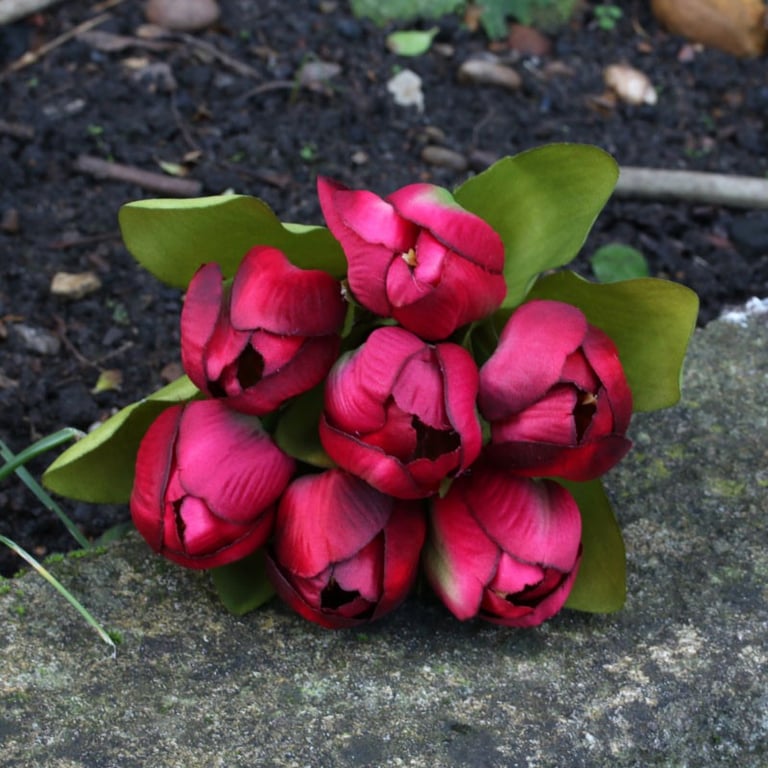 Red Tulip Bunch - Vibrant Floral Arrangement for Home Decor & Garden