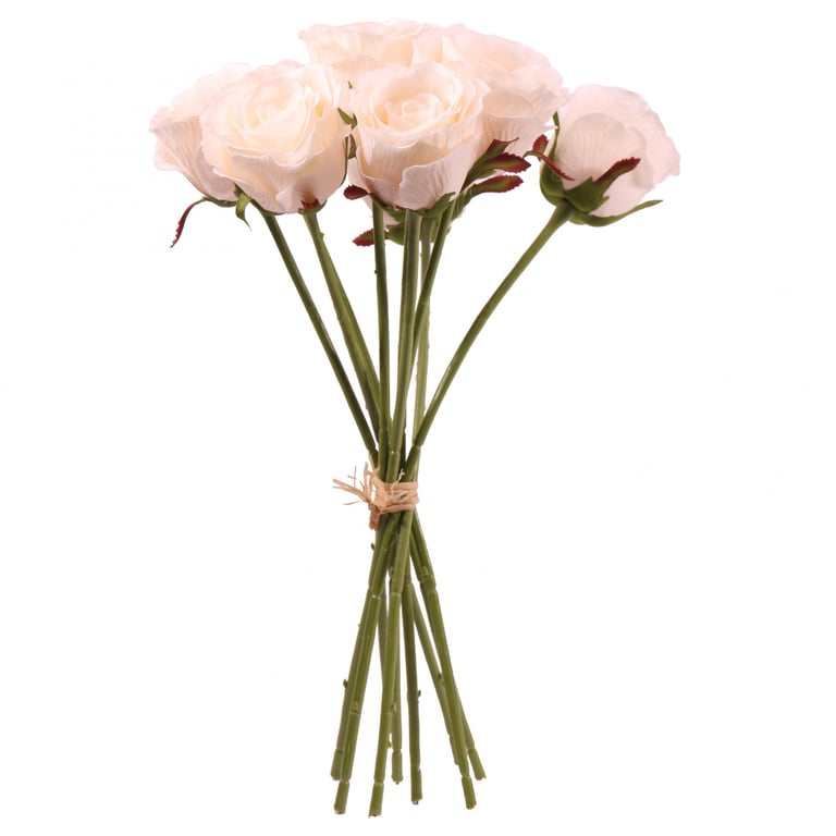 Rose Beauty Cream - Anti-Aging Facial Moisturizer with Hydrating Rose Extracts for Optimal Skincare Routine