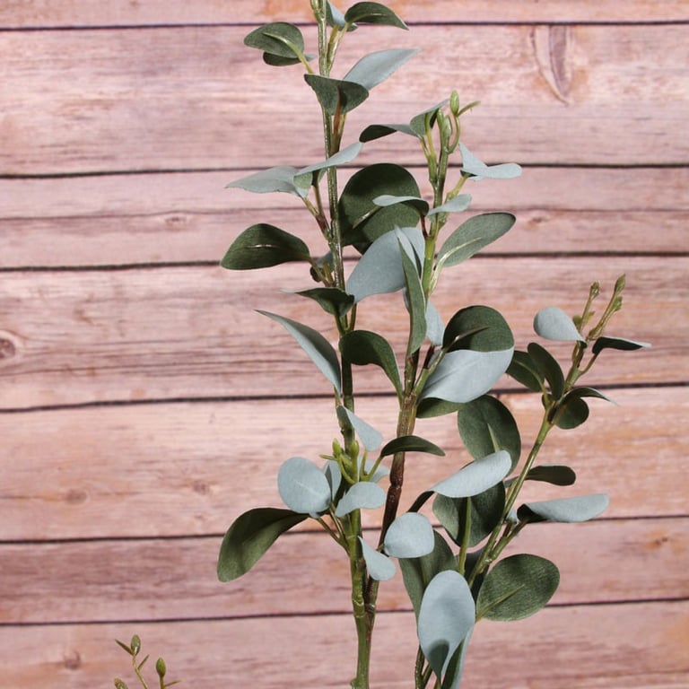 Eucalyptus Spray - Natural Home Aromatherapy & Air Freshener, 81cm Tall