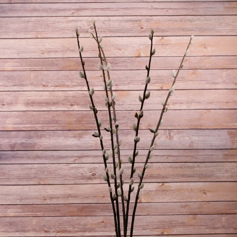 102cm Coated Pussy Willow - Spring Branches for Home Decor and Interior Decoration