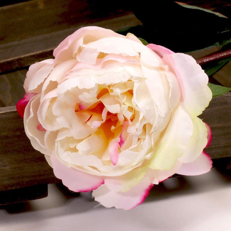 Single Peony Cerise 68cm - Elegant Floral Centerpiece for Home Decor
