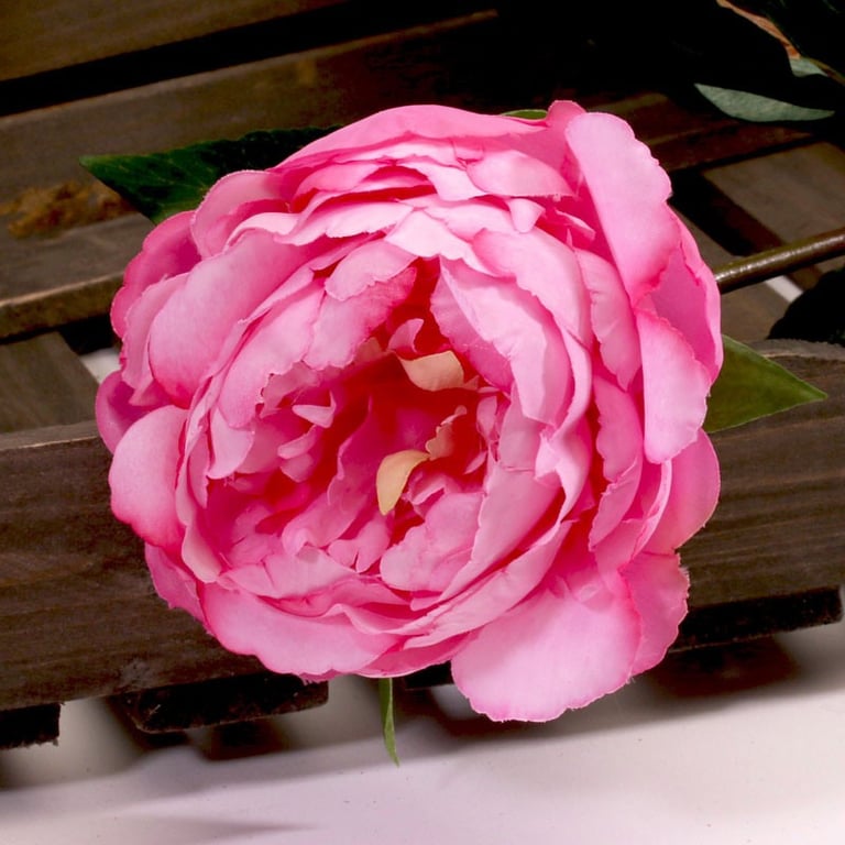 Single Dark Pink Peony Flower, 68cm Long Stem for Home Garden Arrangements