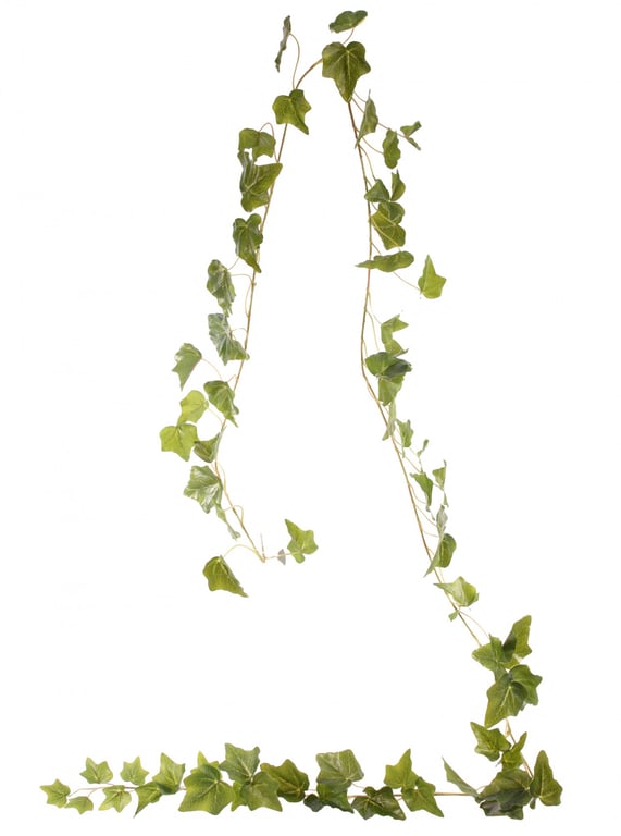 English Ivy Garland Green 1.8M - Large Decorative Wall Hanging Plant and Home Decor Vine