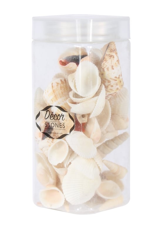Mixed Sea Shells in Beautiful Glass Jar - Beach Home Decor Collection