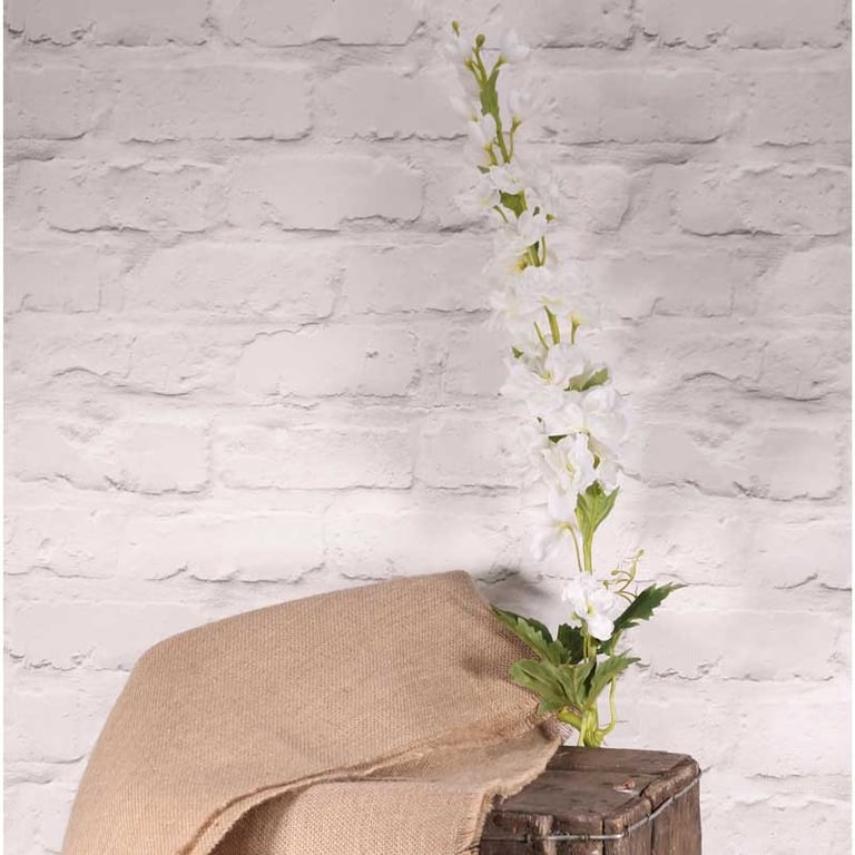 Cottage Garden Delphinium White - Elegant White Flowers for Home Decor and Floral Arrangements