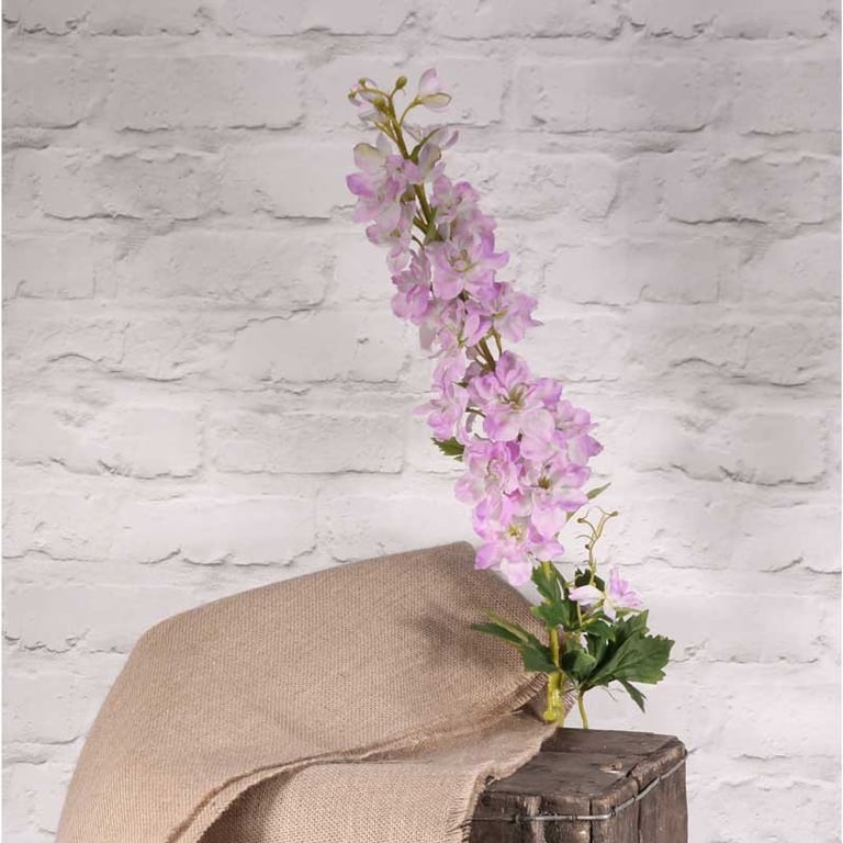 Cottage Garden Delphinium Purple - Vibrant Purple Blooms for Cottage Gardens and Flower Gardening