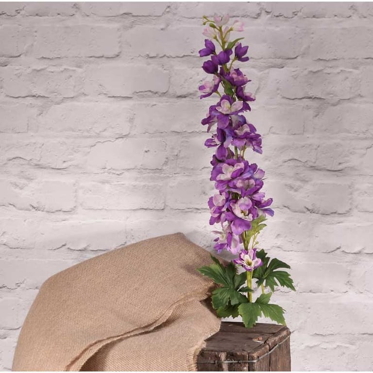 Cottage Garden Delphinium Lavender - Spring Blooming Home Garden Decoration