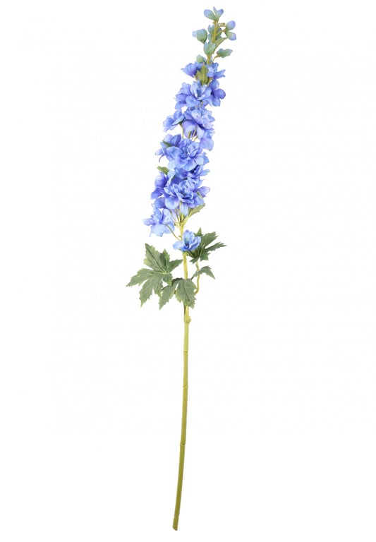 Blue Delphinium Perennial Bulbs - Cottage Garden Flowers with Vibrant Blue Blooms