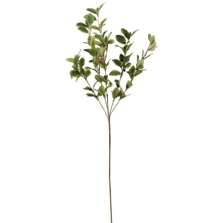 Green Pittosporum Spray - Natural Air Freshener for Home & Garden