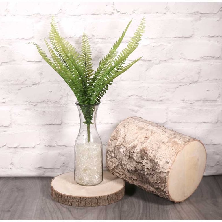 Boston Fern - 48cm Indoor Green Houseplant for Home Decor
