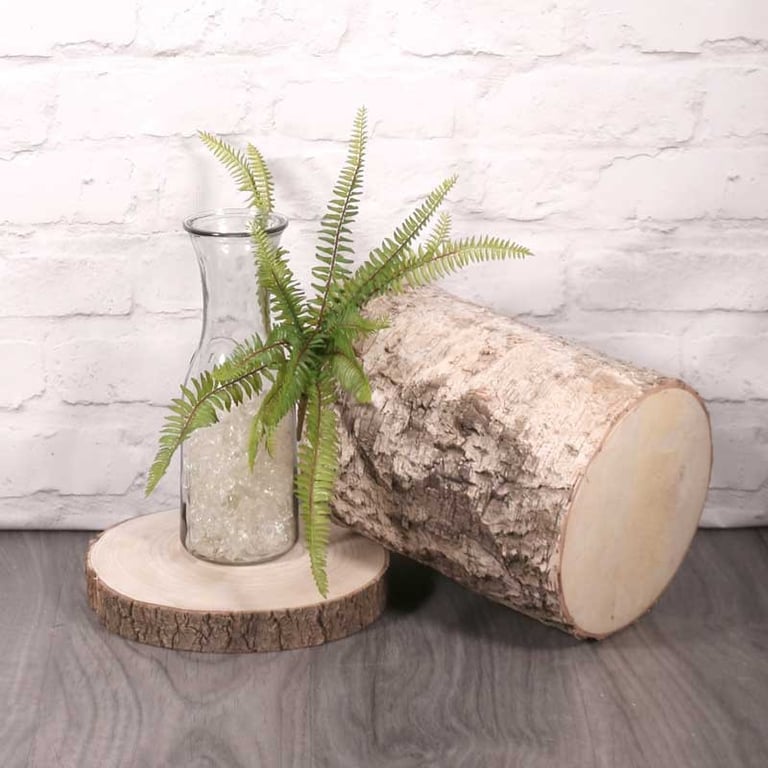 30cm Forest Fern - Indoor Houseplant for Home Decor and Greenery