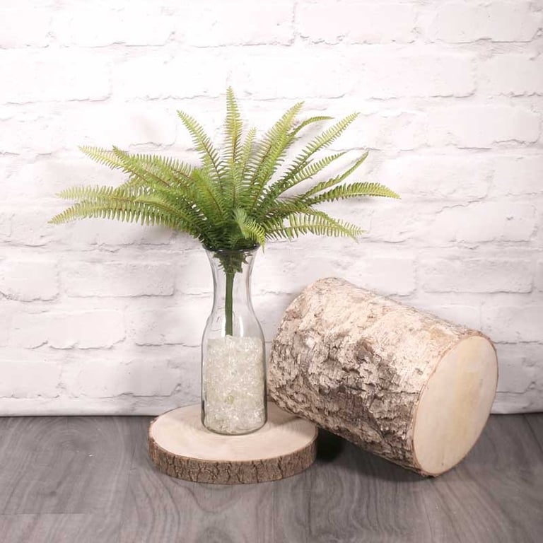 40cm Forest Fern - Exotic Indoor Plant for Home Decor and Garden Decoration