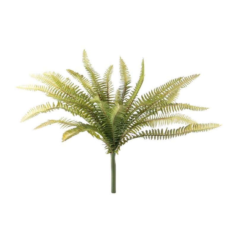 40cm Forest Fern - Exotic Indoor Plant for Home Decor and Garden Decoration