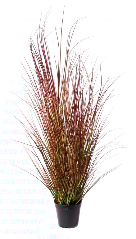 Bronze Stipa Grass Potted Plant - 100cm Indoor/Outdoor Garden Decoration