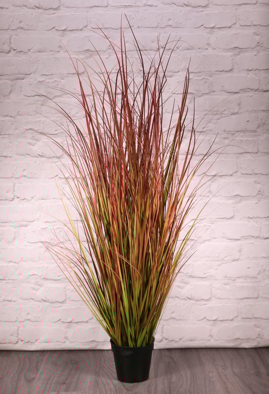 Bronze Stipa Potted Grass - 122cm Tall Outdoor Home Garden Decor Plant