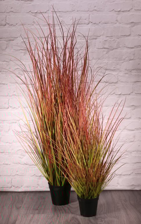 Bronze Stipa Potted Grass - 122cm Tall Outdoor Home Garden Decor Plant