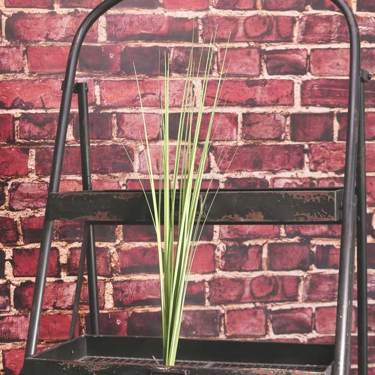 Bear Grass 72cm - Sturdy Garden Plant for Home Decor and Outdoor Furniture