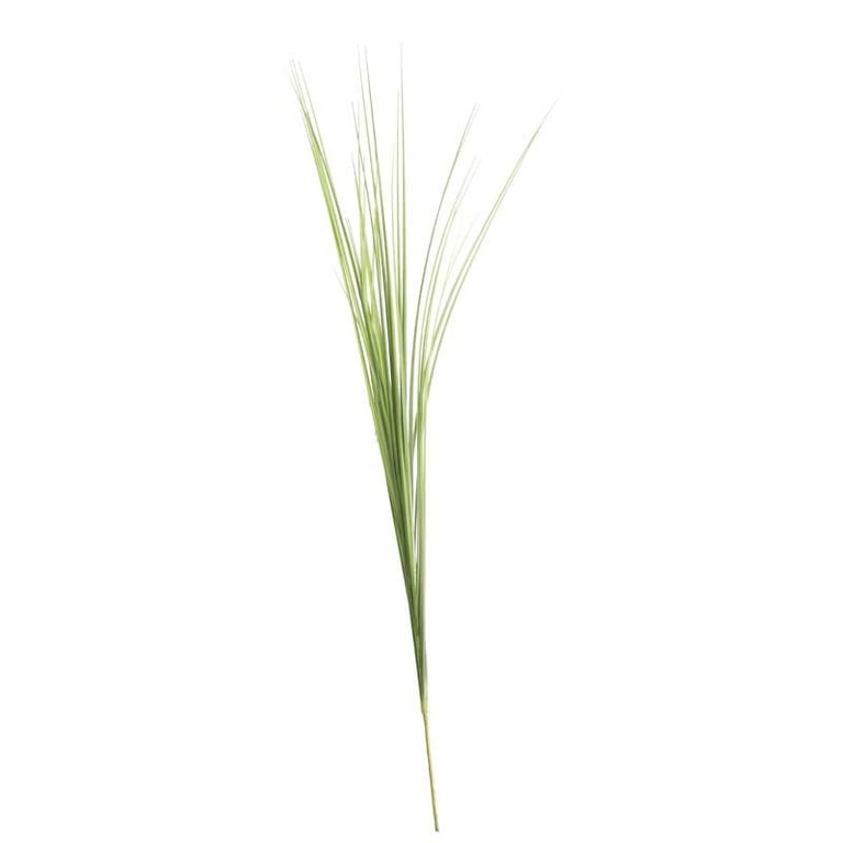 Bear Grass 72cm - Sturdy Garden Plant for Home Decor and Outdoor Furniture