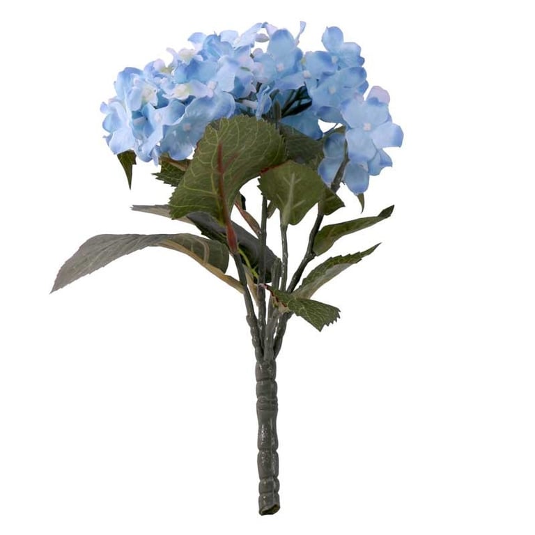 Blue Hydrangea Bush - Vibrant Outdoor Flowering Shrub for Home Decor and Garden Plant
