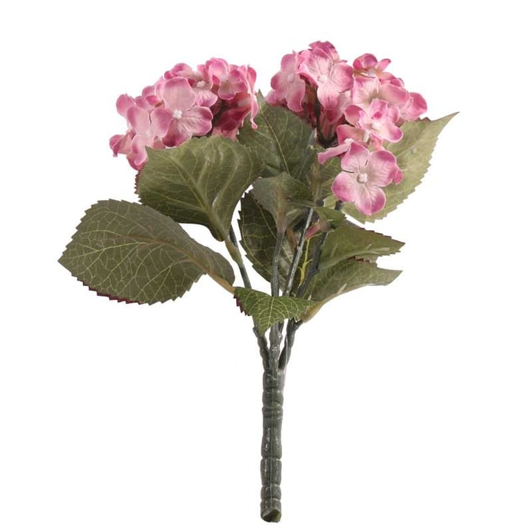 Pink Hydrangea Bush - 9cm Outdoor Flower for Home Decor and Garden Plant